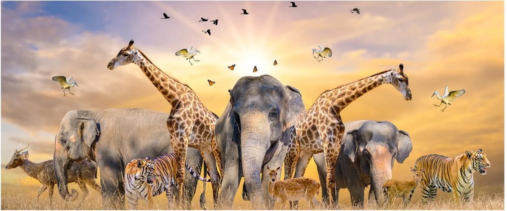 Obraz - Africké zvieratá (120x50 cm)
