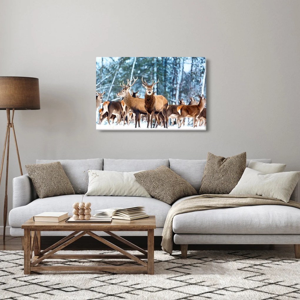 Obraz - Stádo jeleňov (90x60 cm)