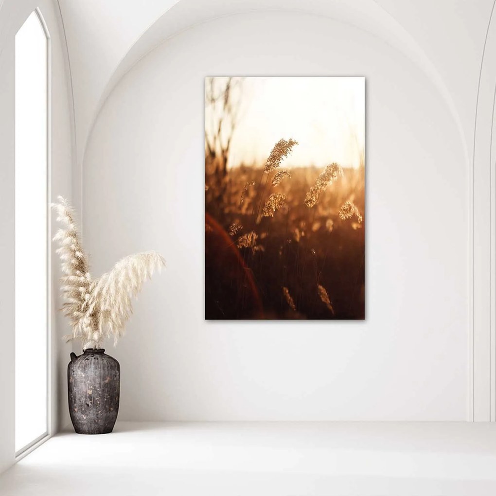 Gario Plagát Zrno na slnku Farba rámu: Bez rámu, Rozmery: 40 x 60 cm