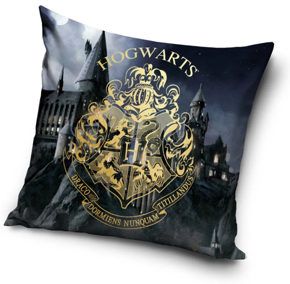 DETSKÁ DEKORAČNÁ OBLIEČKA NA VANKÚŠ HARRY POTTER 40X40 CM VZOROVANÁ