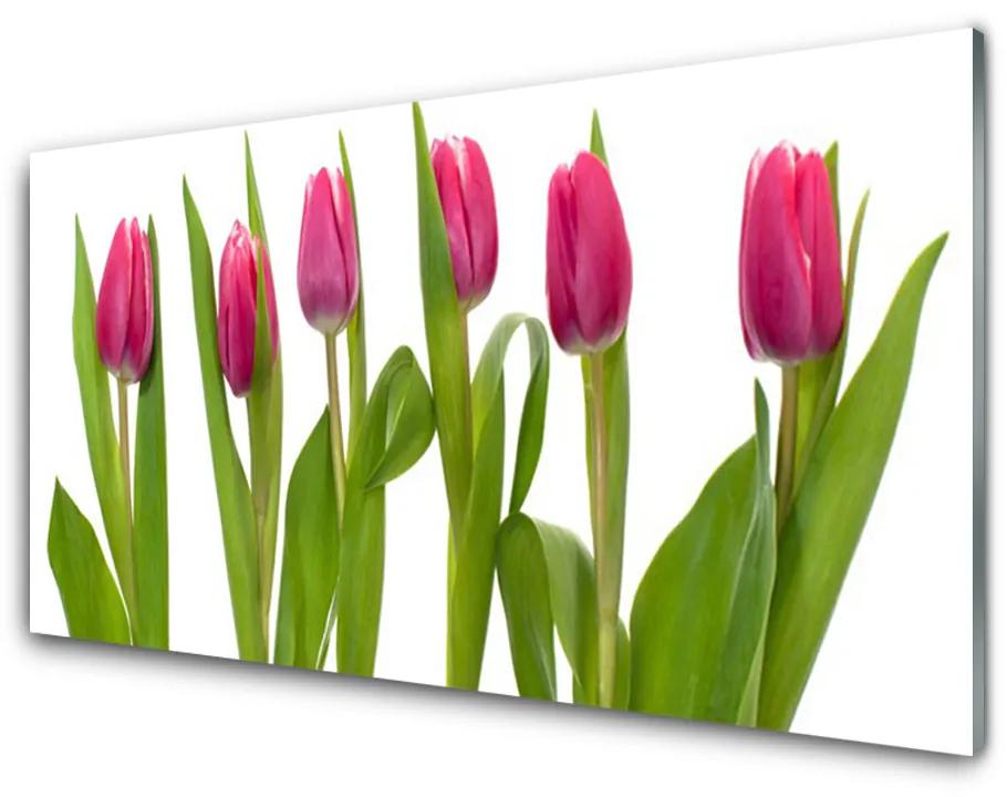 Skleneny obraz Tulipány kvety rastlina 120x60 cm