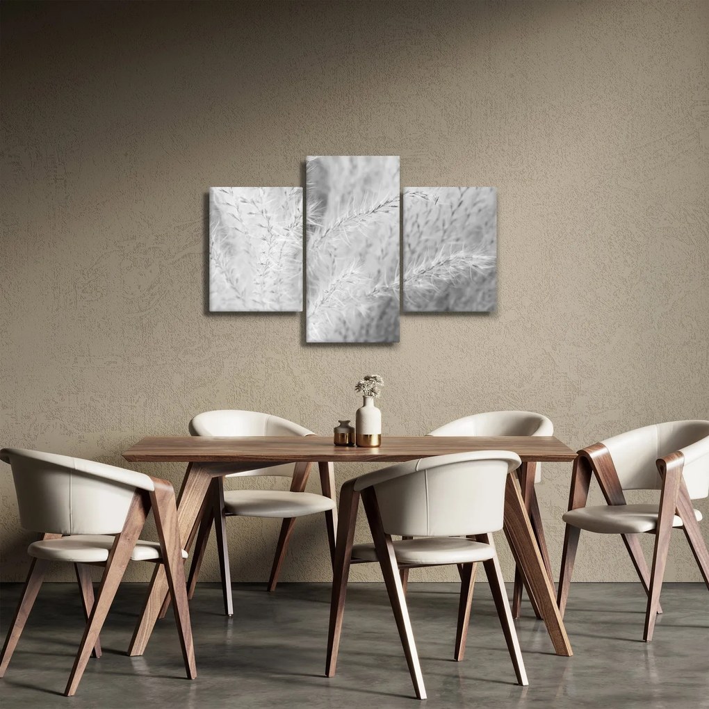 Obraz - Pampas grass N⁰1 (90x60 cm)