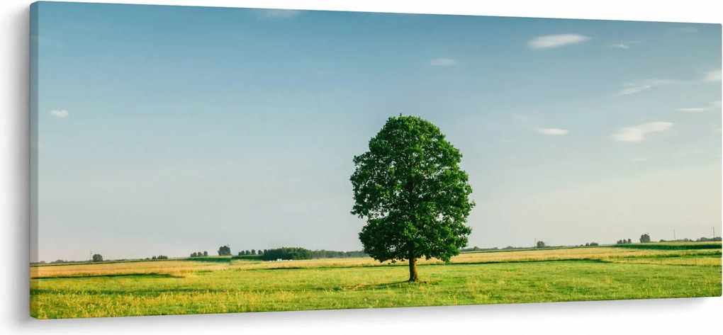 Obraz stromu uprostred lúky (120x50 cm)