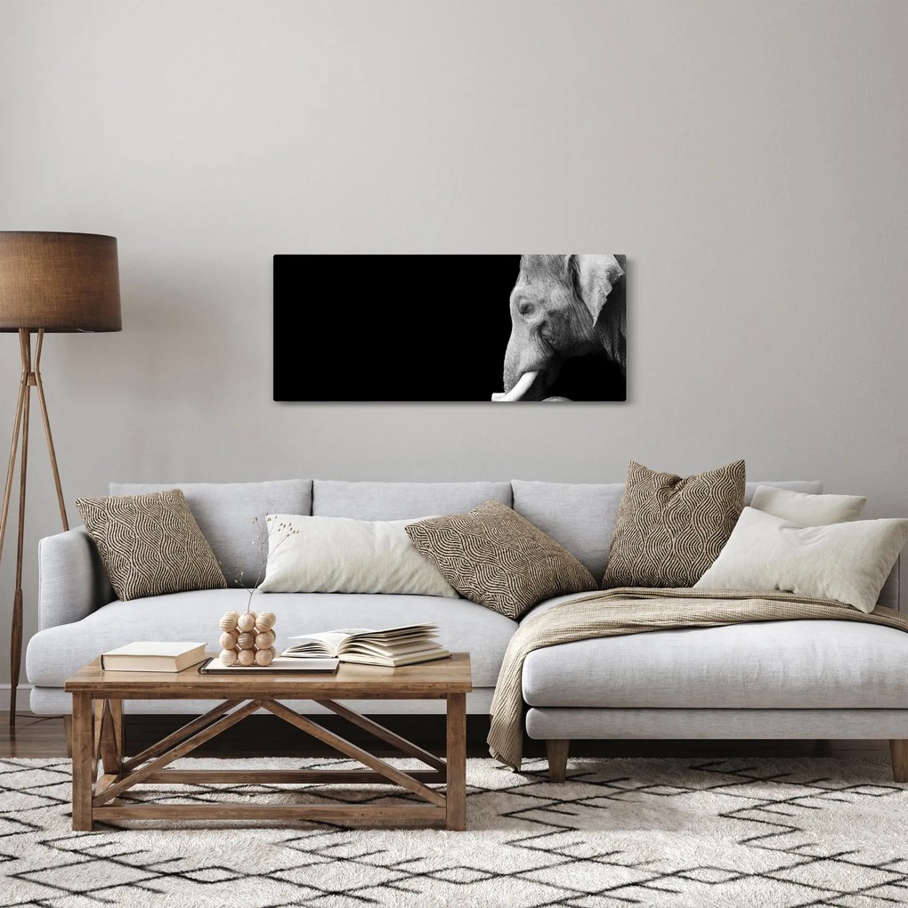 Obraz - Slon (120x50 cm)