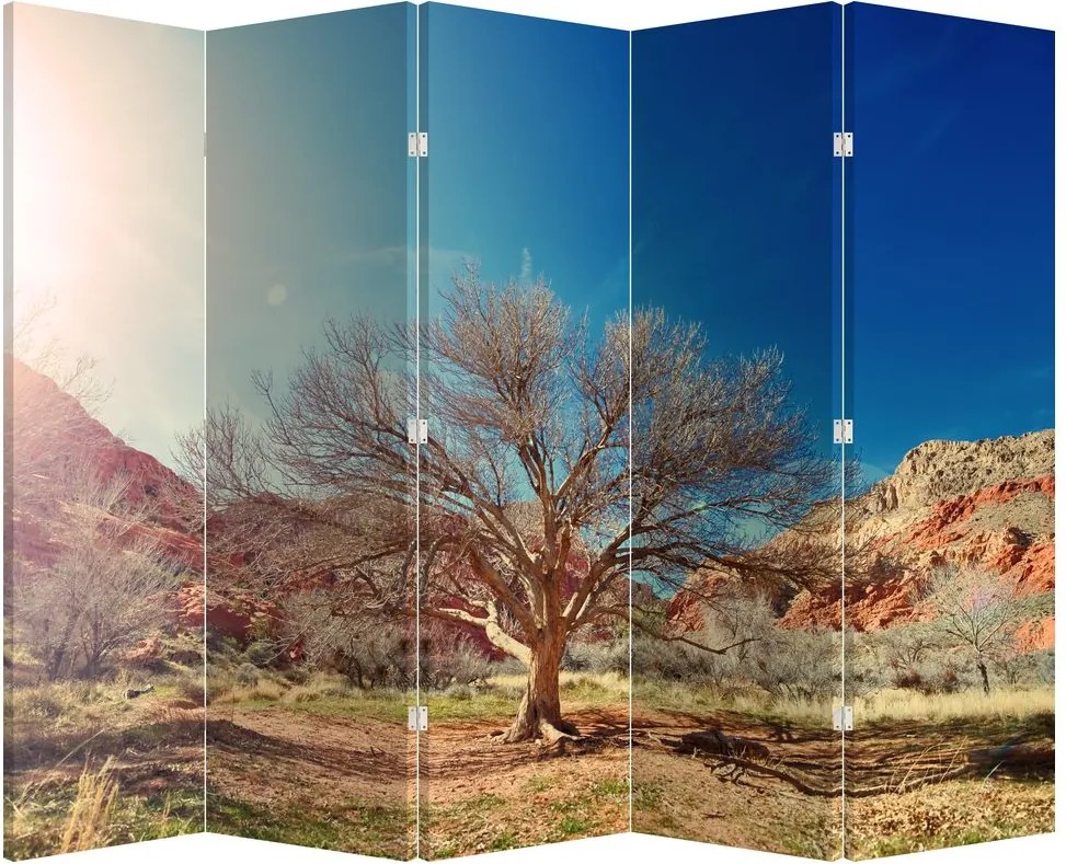 Paraván - Strom v púšti (210x170 cm)