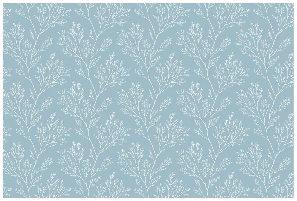 Fototapeta biele vetvičky na modrom pozadí