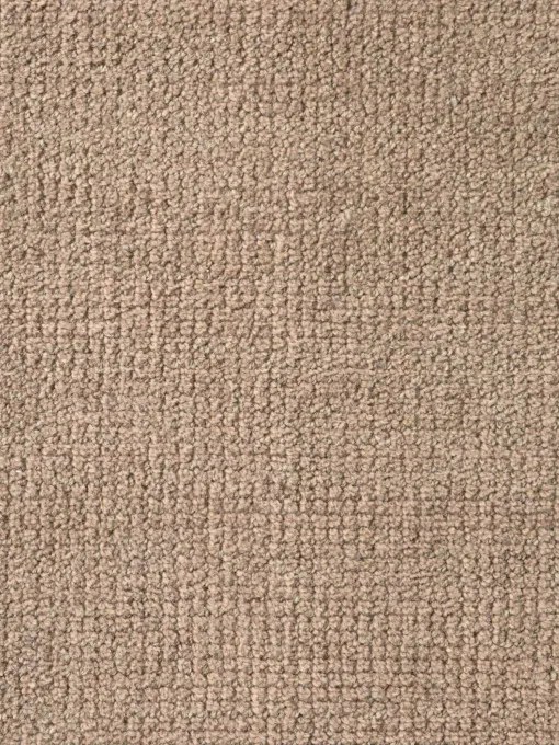 Koberec Ted Baker Greenwich béžový