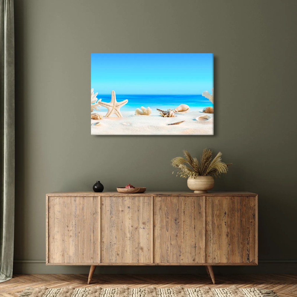 Obraz - Zátišie s mušľami (90x60 cm)