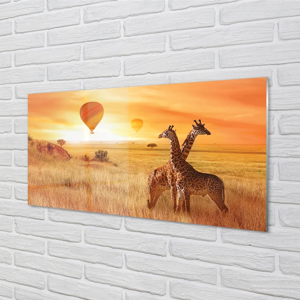 Obraz plexi Balóny neba žirafa 100x50 cm