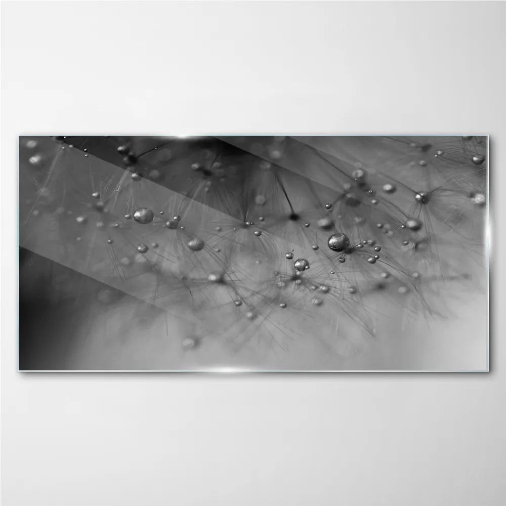 Obraz na skle Abstrakcie púpava voda