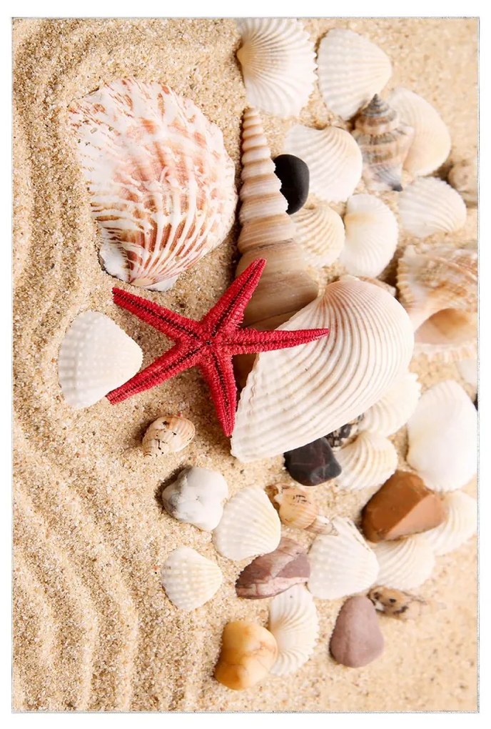 Súprava 2 kusov kúpeľňových predložiek SeaSea II. béžová