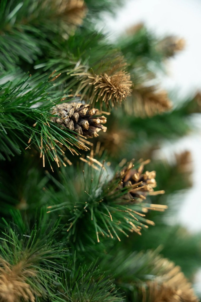 Limpol Borovica Verona zlatá 240 cm