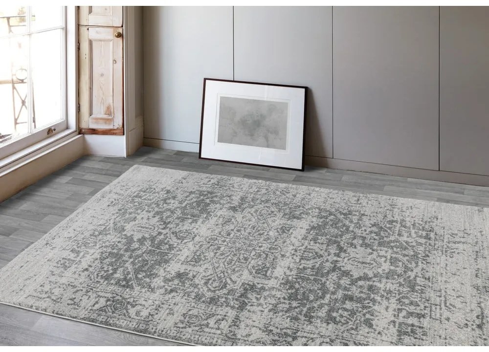 Sivý koberec 160x230 cm Nova – Asiatic Carpets