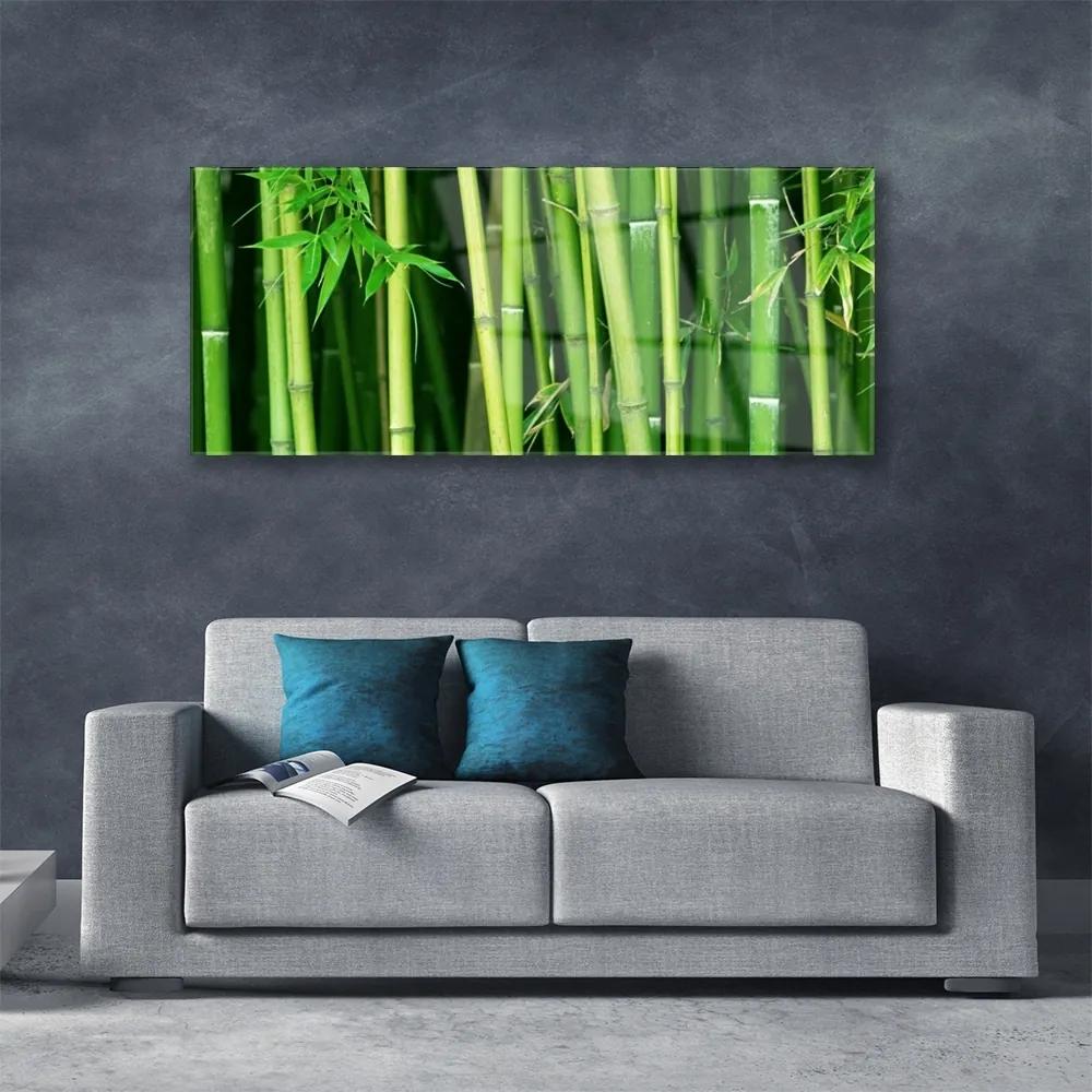 Obraz plexi Bambusový les bambus príroda 125x50 cm