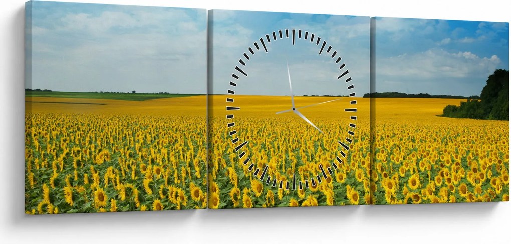 Obraz - pás slnečníc (s hodinami) (90x30 cm)