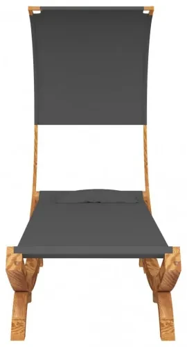 vidaXL Hojdacia sieť so strieškou 100x216x162 cm masívny smrek antracitová-