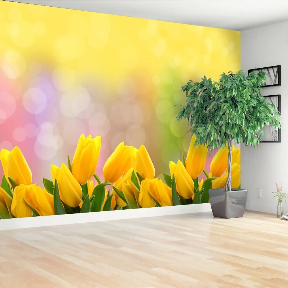 Fototapeta Vliesová Žlté tulipány 250x104 cm