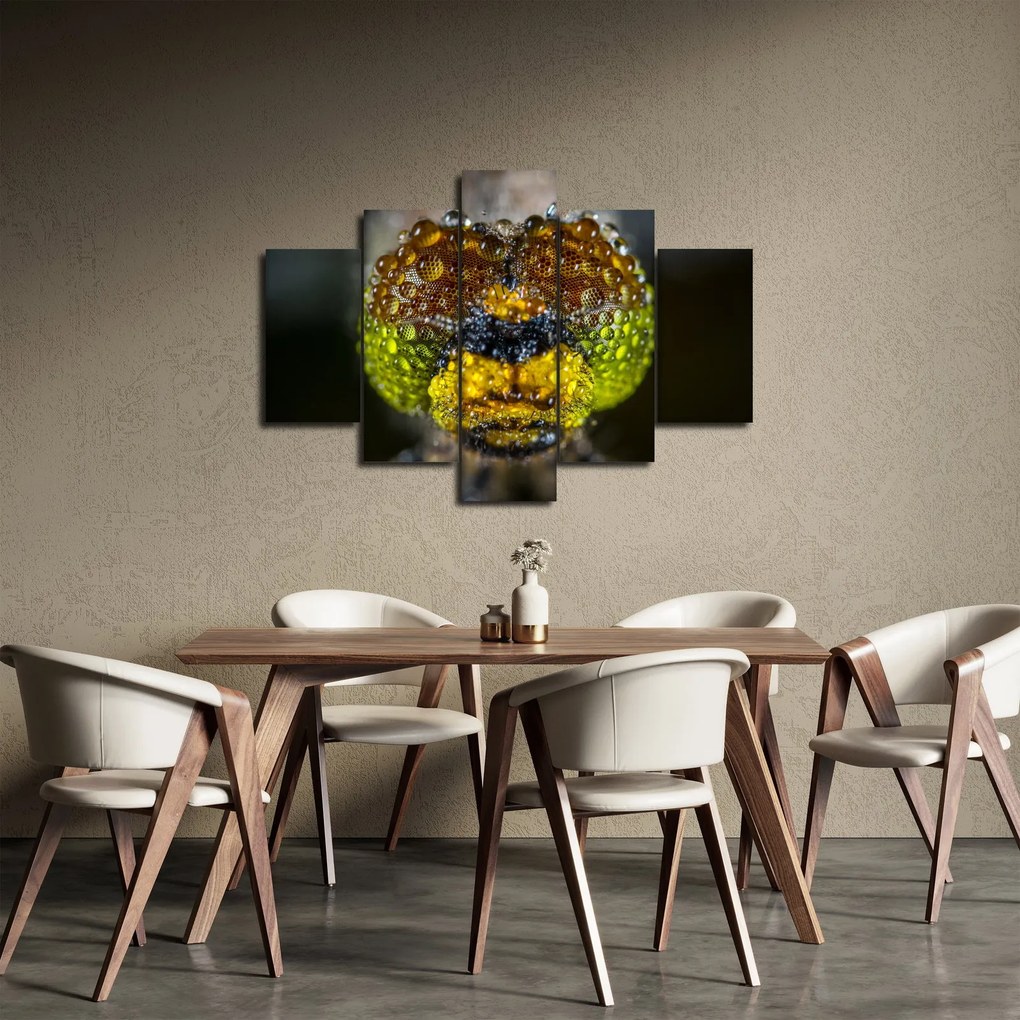 Detailný obraz očí hmyzu (150x105 cm)