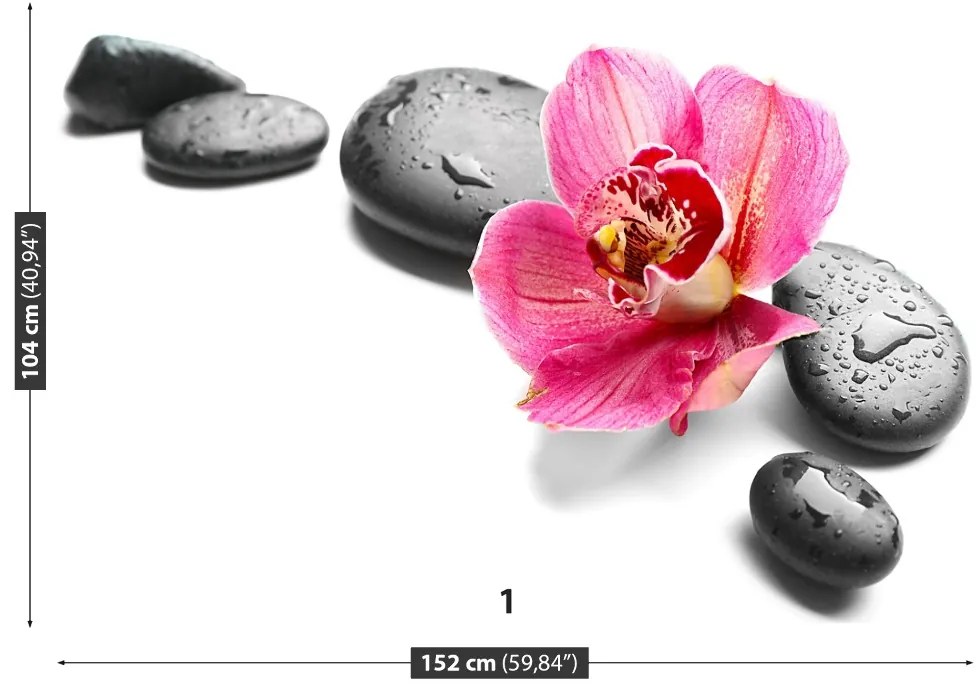 Fototapeta Vliesová Orchidea kamene 152x104 cm