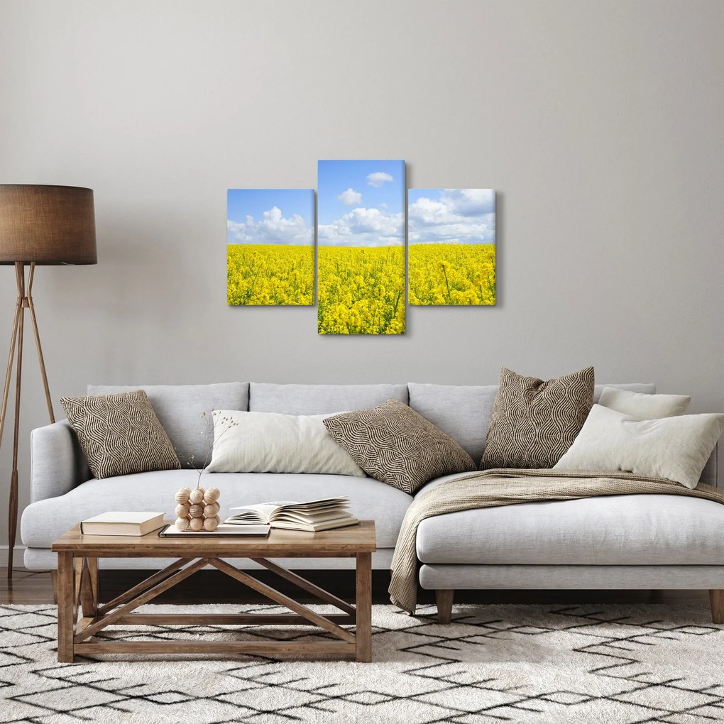 Obraz žltého poľa (90x60 cm)