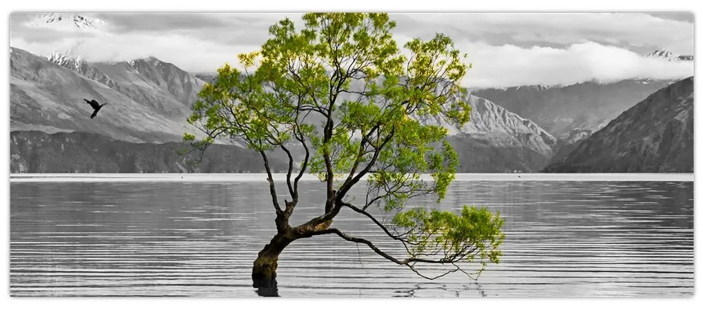 Obraz stromu uprostred jazera (120x50 cm)