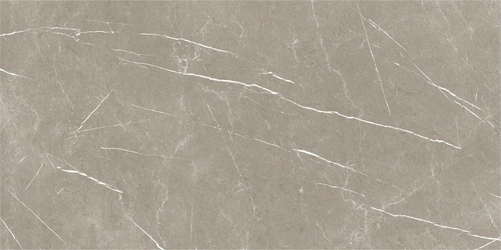 Dlažba Eternal Taupe Natural 60x120 R