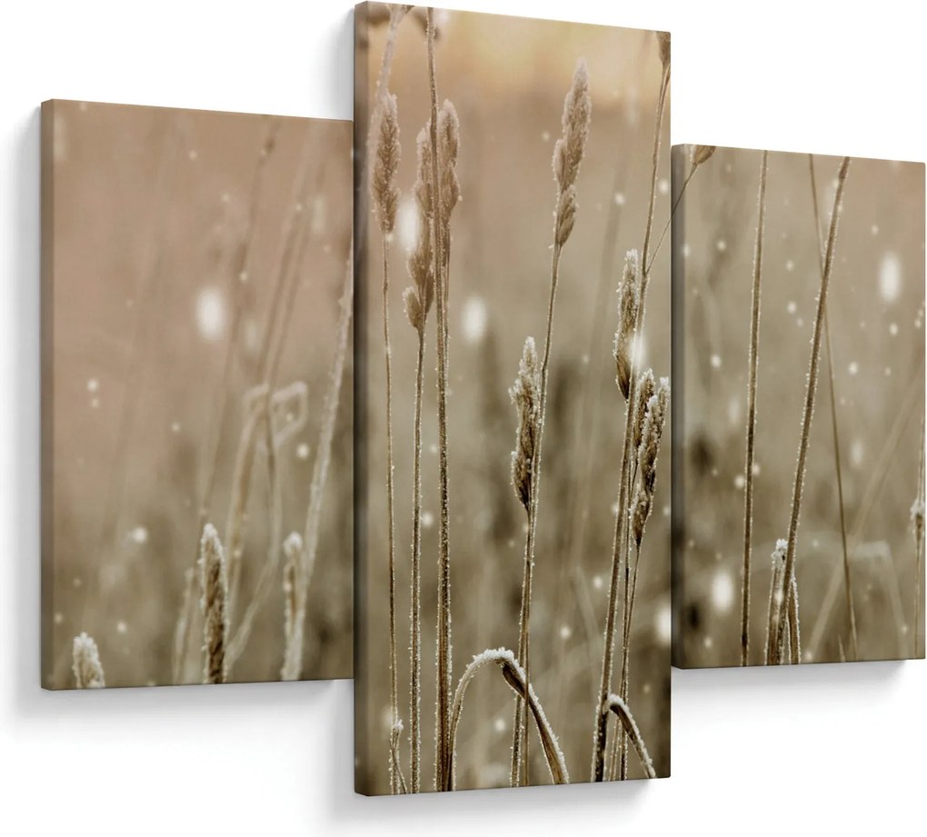 Obraz - Harmonická lúka (90x60 cm)