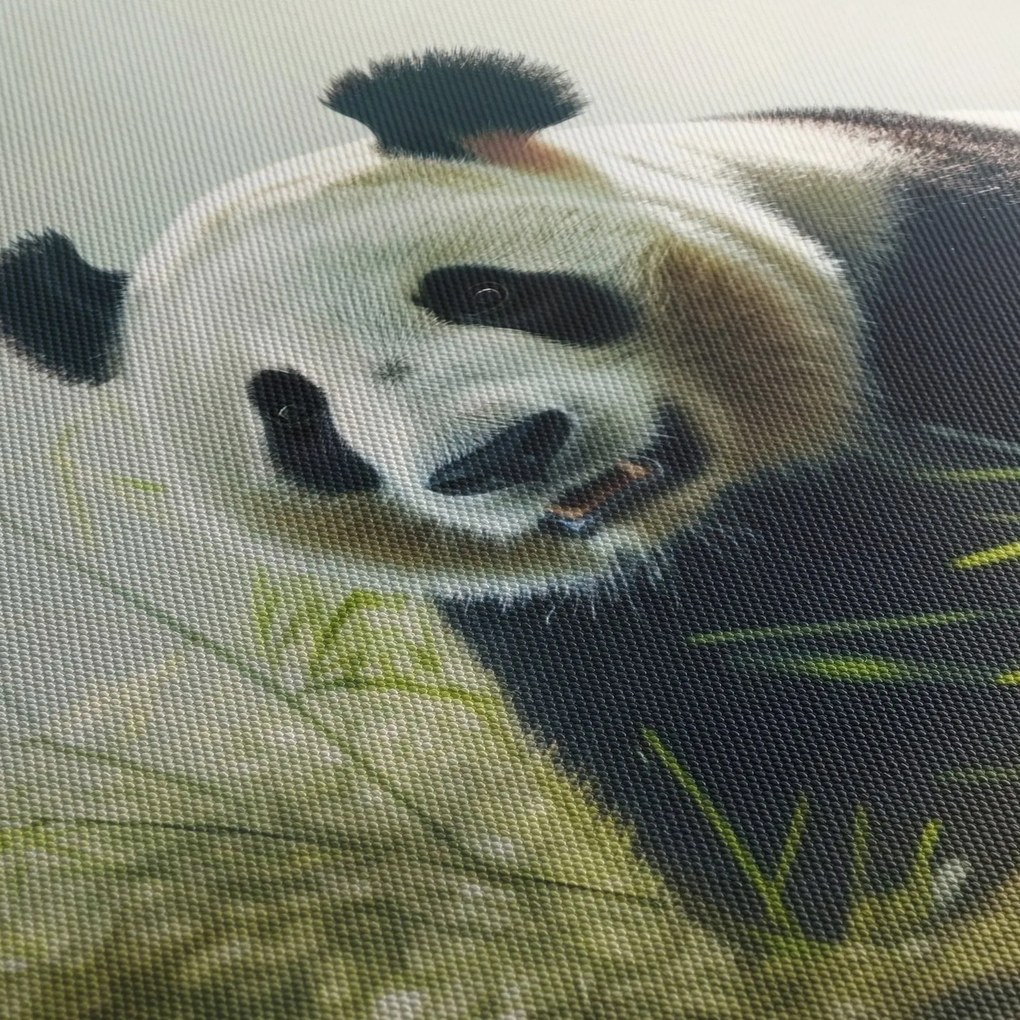 Obraz - Panda (90x60 cm)