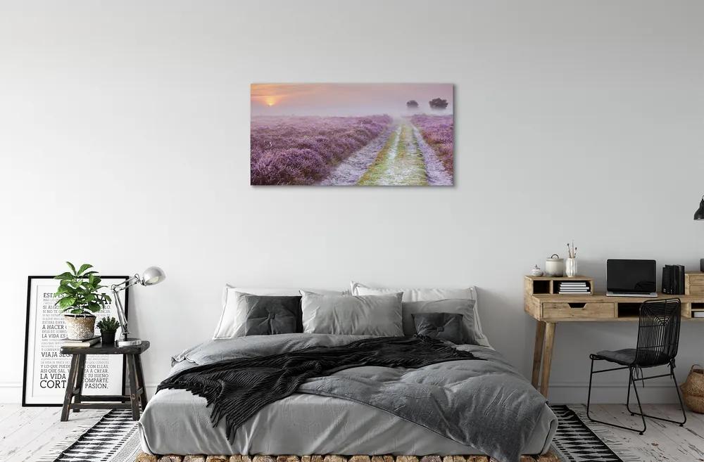 Obraz canvas poľné vresy 140x70 cm