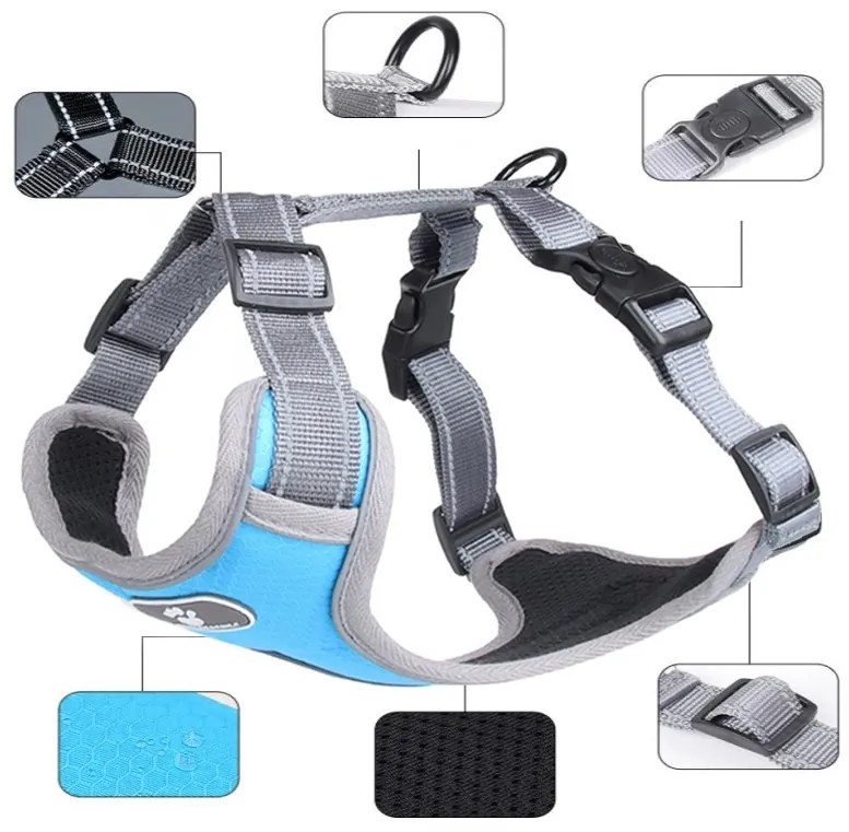 Postroj pre psov Astro M modrý