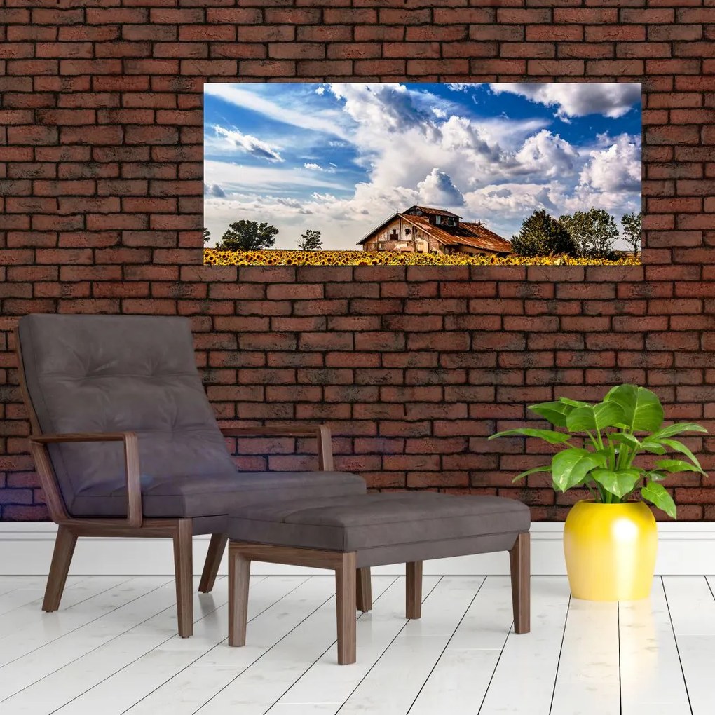 Obraz slnečnicového poľa (120x50 cm)