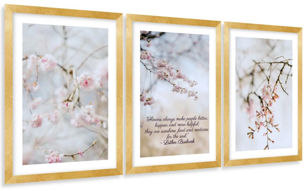 Gario Sada plagátov Kvitnúca višňa - 3 dielna Farba rámu: Rustikálna, Veľkosť: 135 x 63 cm