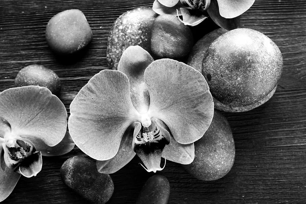 Samolepiaca fototapeta čiernobiela orchidea a kamene - 150x100