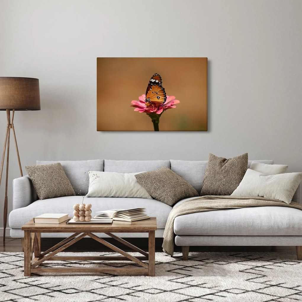 Obraz motýľa na kvetine (90x60 cm)