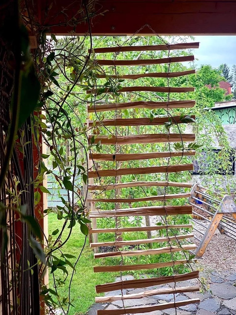 Závesná podpera pre popínavé rastliny - rebrík, 50 x 200 cm
