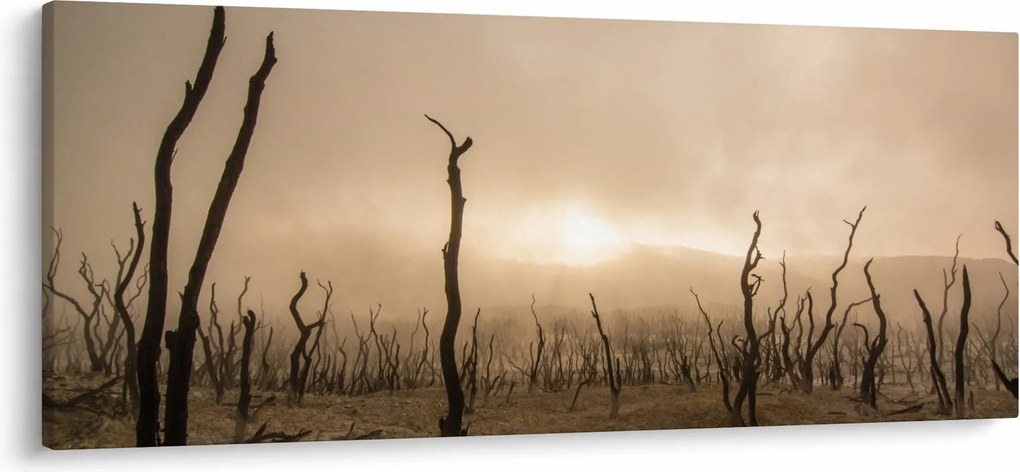 Obraz - Holé stromy (120x50 cm)