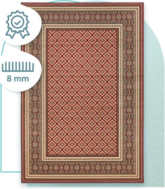 Koberec Agnella Standard Apium Terakota