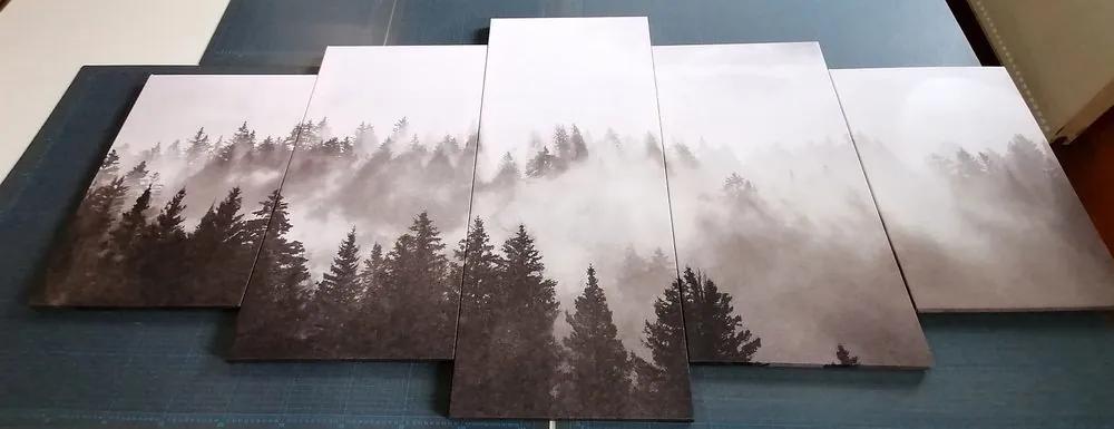 5-dielny obraz hmla nad lesom v čiernobielom prevedení - 200x100