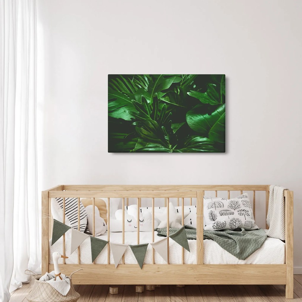 Obraz - Palmové listy (90x60 cm)