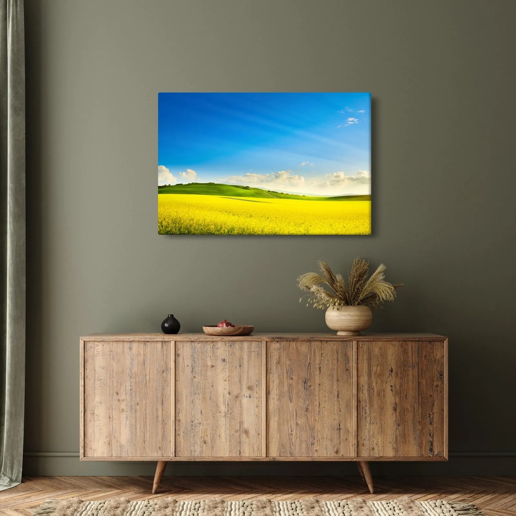 Obraz - Jarné nebo (90x60 cm)