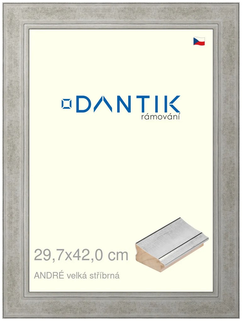 DANTIK rám na obraz 29,7x42 | ANDRÉ velká stříbrná (Plexi Čiré)