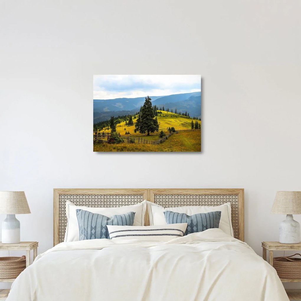 Sklenený obraz - Horská lúka (70x50 cm)