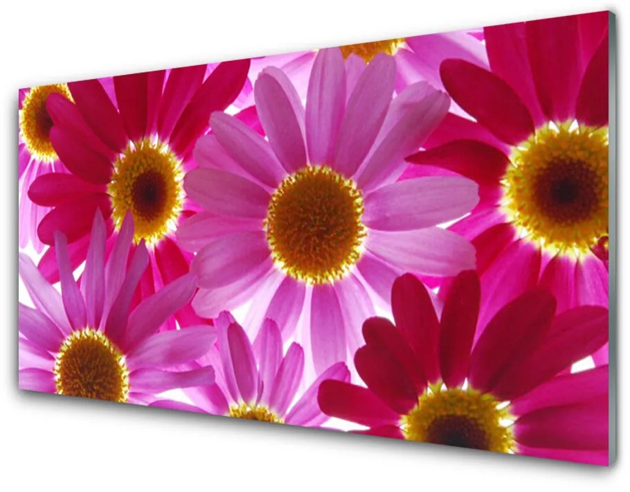 Nástenný panel  Kvety 140x70cm