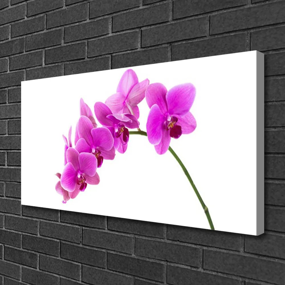 Obraz Canvas Vstavač kvet orchidea 100x50 cm