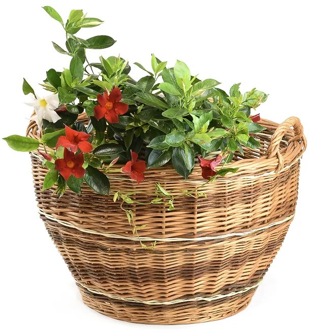 Zahradní koš Mentapriemer 55(cm) x v. 34(cm)