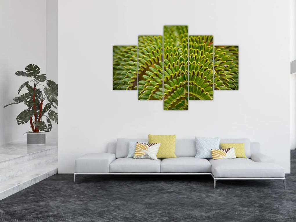 Obraz - Papraď (150x105 cm)