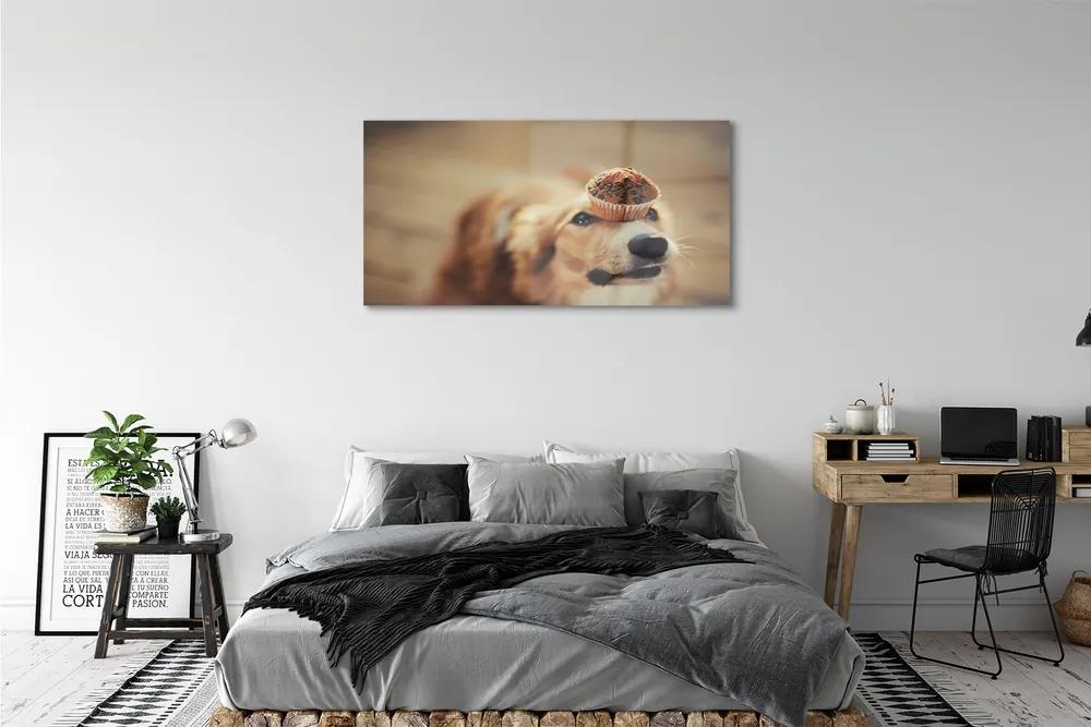 Obraz na akrylátovom skle Dog bun 125x50 cm