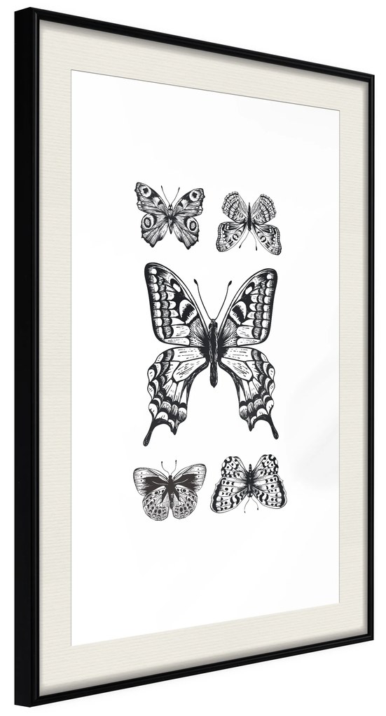 Artgeist Plagát - Five Butterflies [Poster] Veľkosť: 20x30, Verzia: Čierny rám s passe-partout