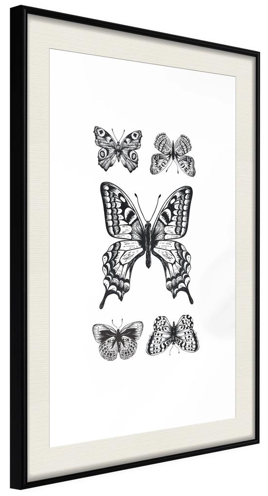 Artgeist Plagát - Five Butterflies [Poster] Veľkosť: 20x30, Verzia: Čierny rám