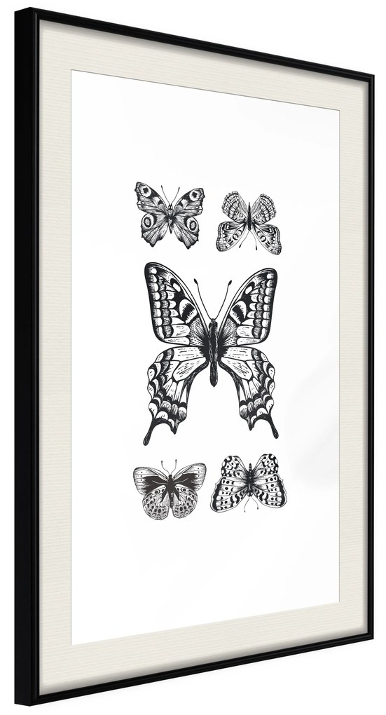Artgeist Plagát - Five Butterflies [Poster] Veľkosť: 30x45, Verzia: Čierny rám s passe-partout